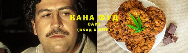 первитин Инта
