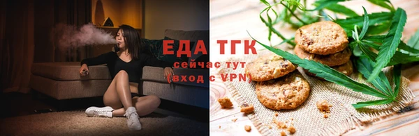 хмурый Инсар