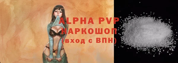 хмурый Инсар