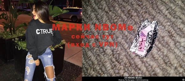 хмурый Инсар