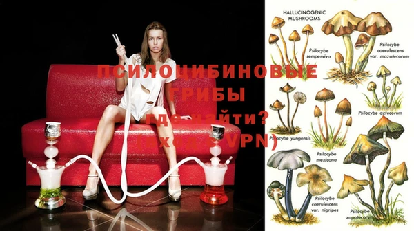 хмурый Инсар