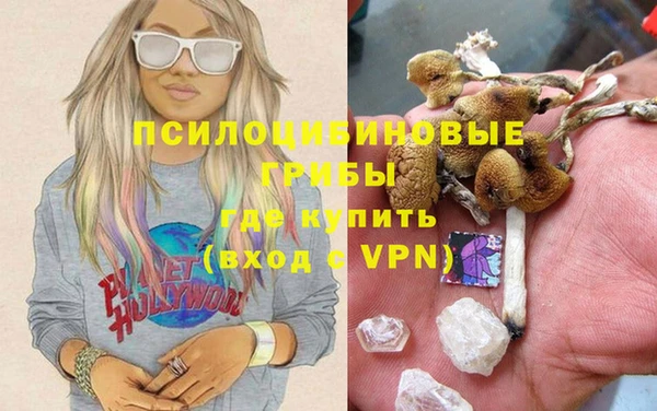 первитин Инта