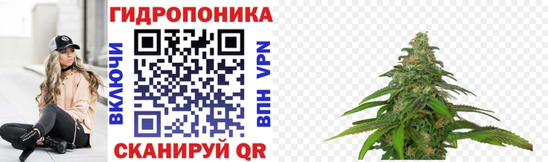 Купить  Бокситогорск  Марихуана индика 